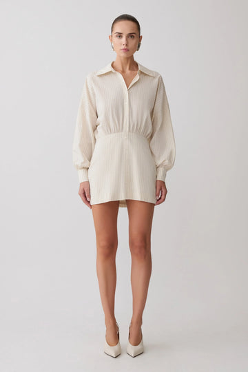 Ivy Shirt Mini Dress